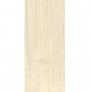 dapedo
