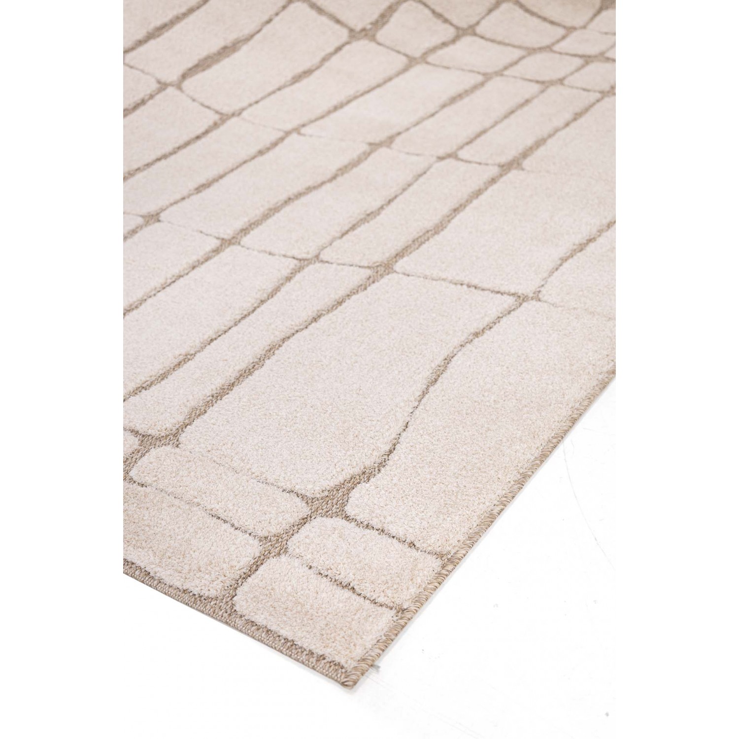 Χαλί Desert 40405 651 Royal Carpet - 120 x 170 cm 3