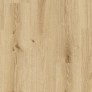 dapedo