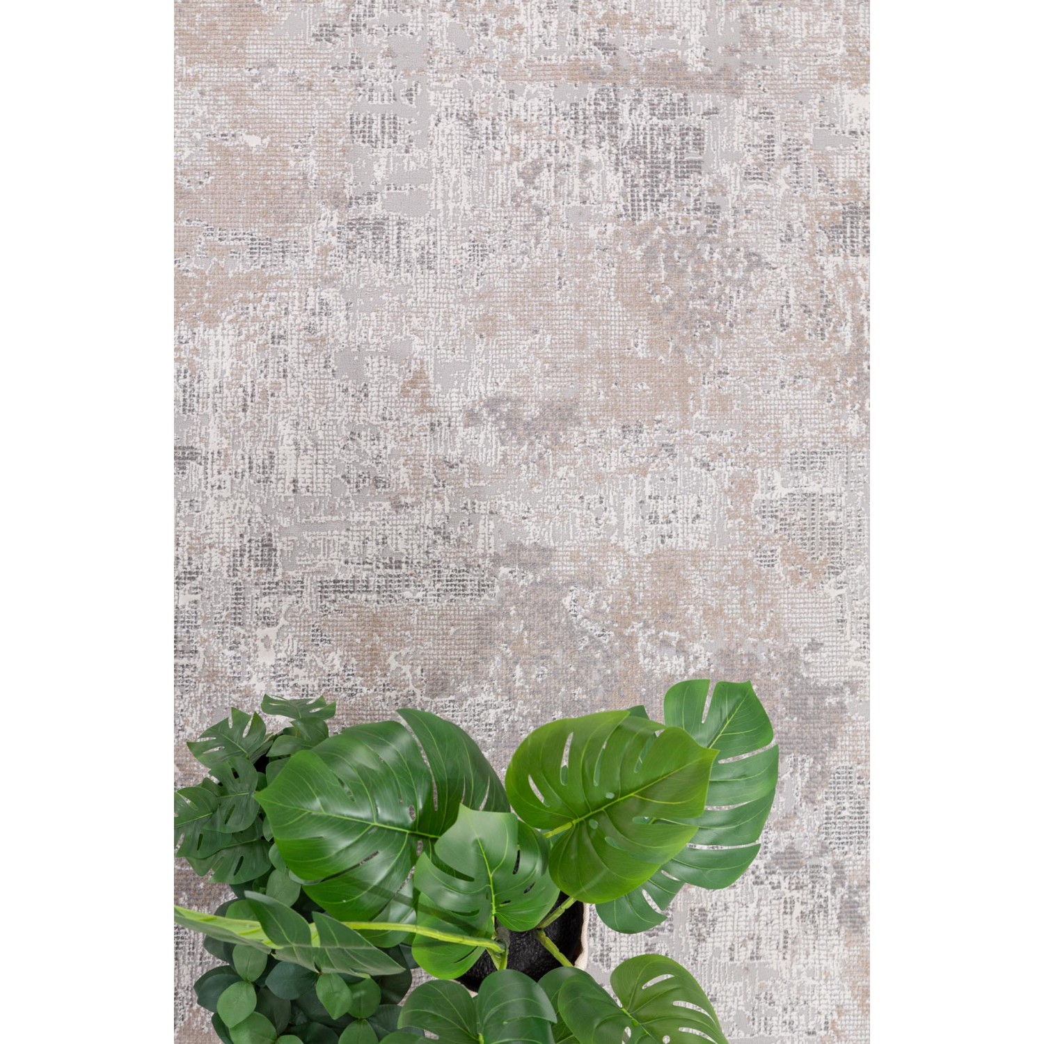 Χαλί Madisson 36A GREY Royal Carpet - 240 x 300 cm 4