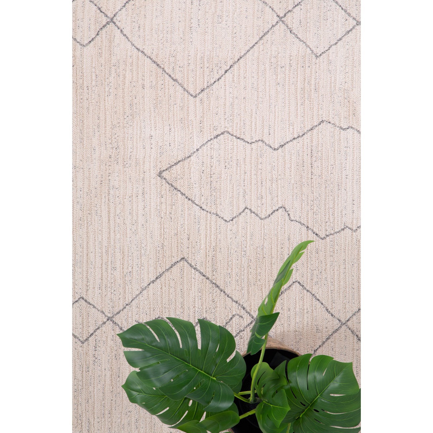 Χαλί Matisse 24527 Royal Carpet - 200 x 290 cm 4