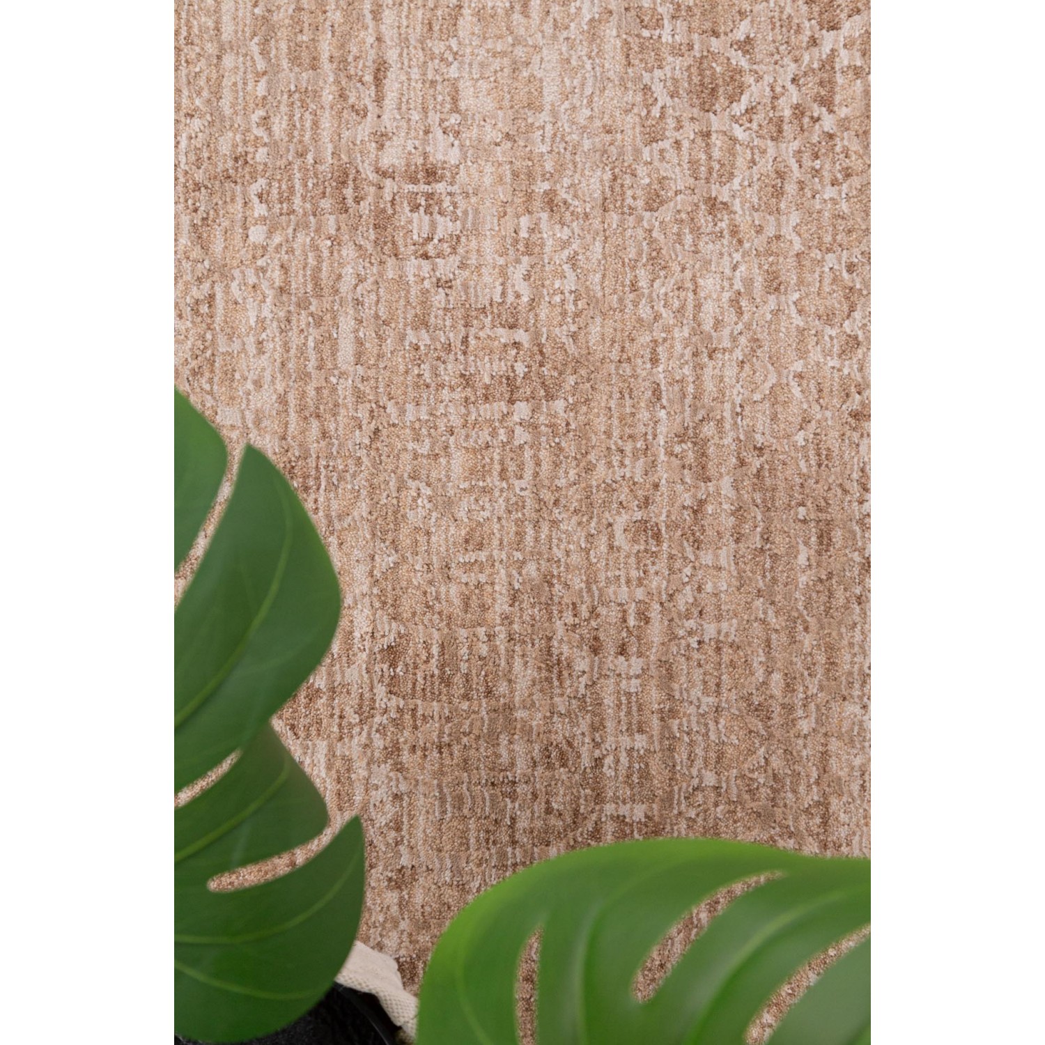 Χαλί Prime 003 BEIGE Royal Carpet - 200 x 300 cm 4