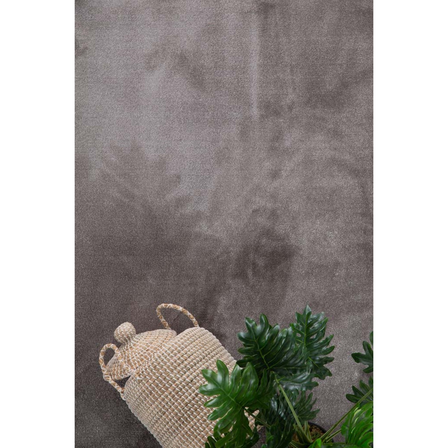 Χαλί Desire 71401 070 Royal Carpet - 140 x 200 cm 10