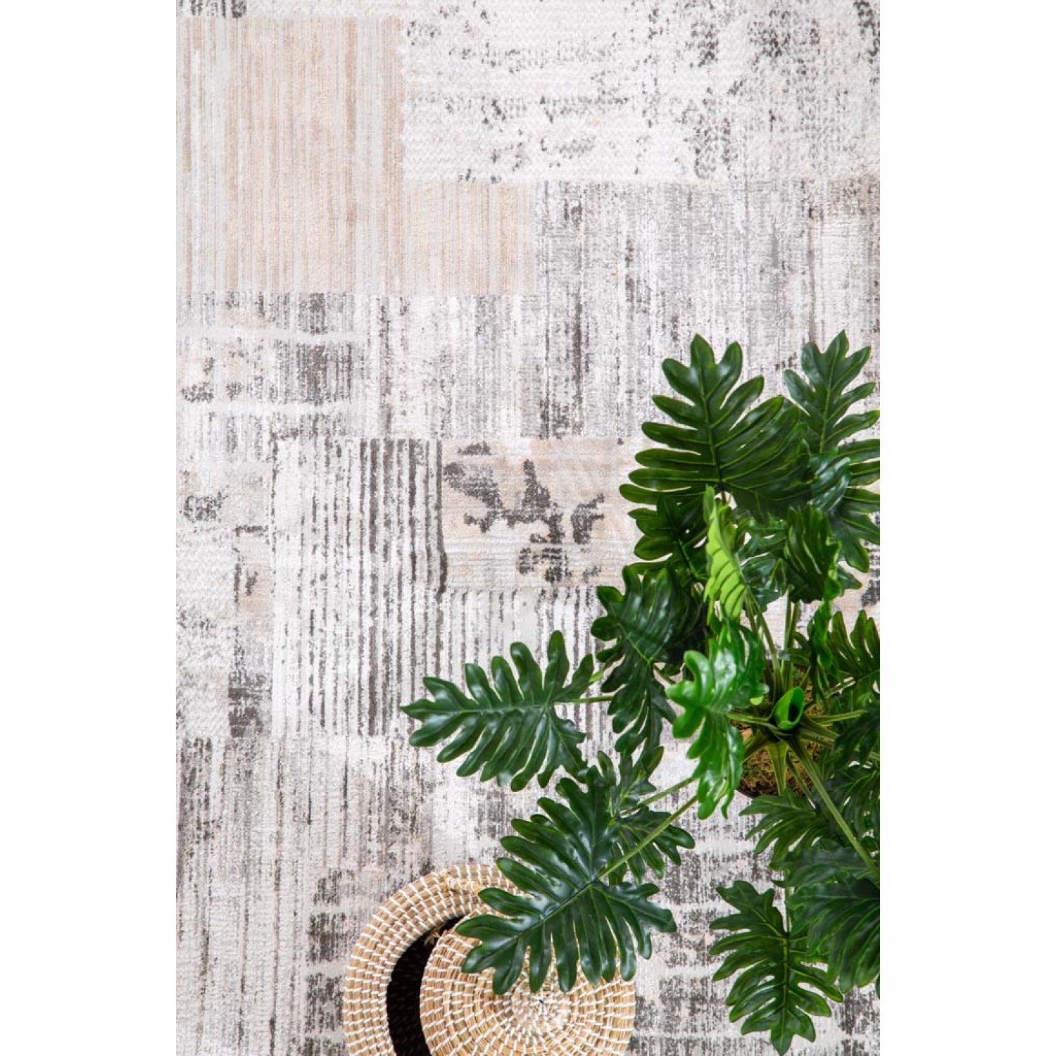 Χαλί Silky 49B L.BEIGE Royal Carpet - 240 x 300 cm 11