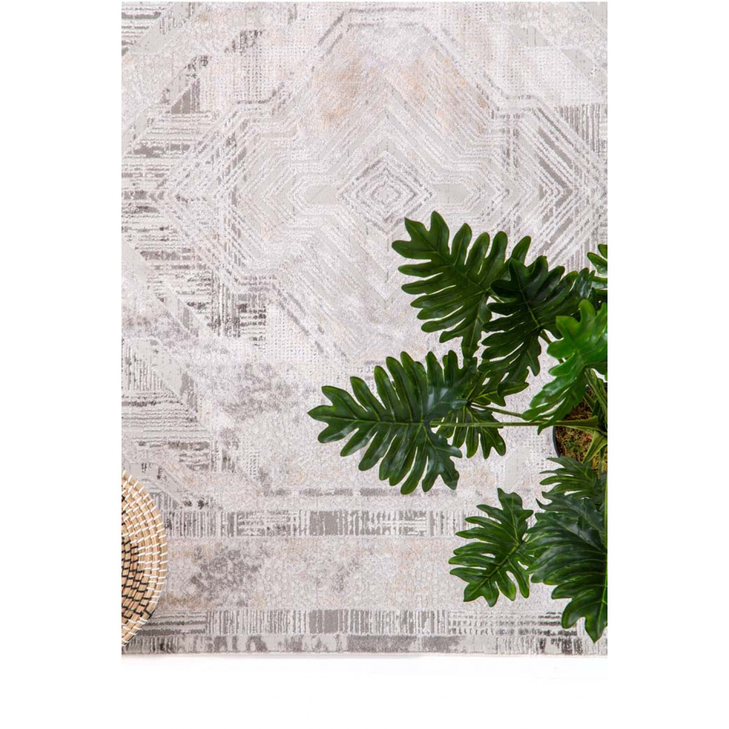Χαλί Silky 53C L.BEIGE Royal Carpet - 240 x 300 cm 8