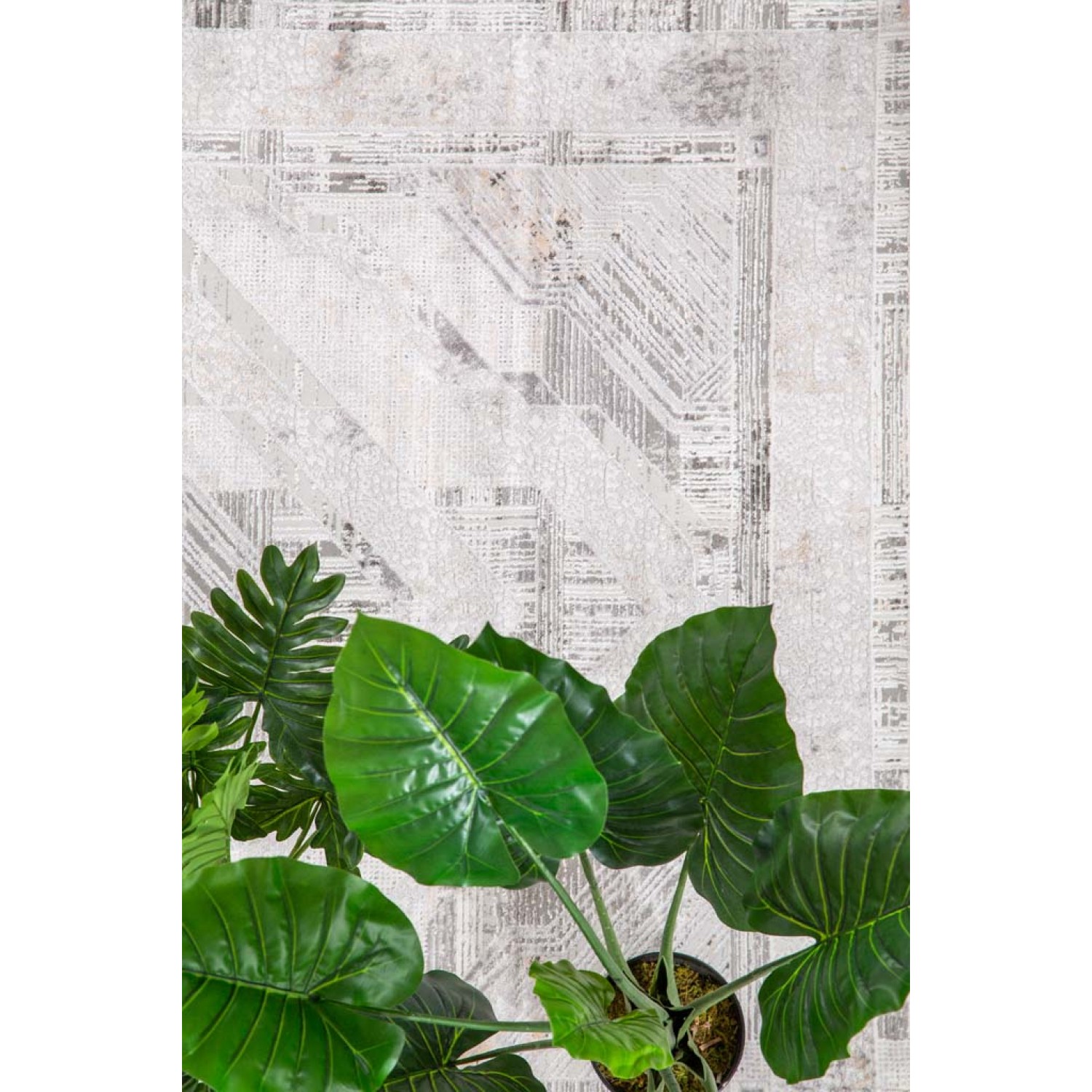Χαλί Silky 53C L.BEIGE Royal Carpet - 240 x 300 cm 10